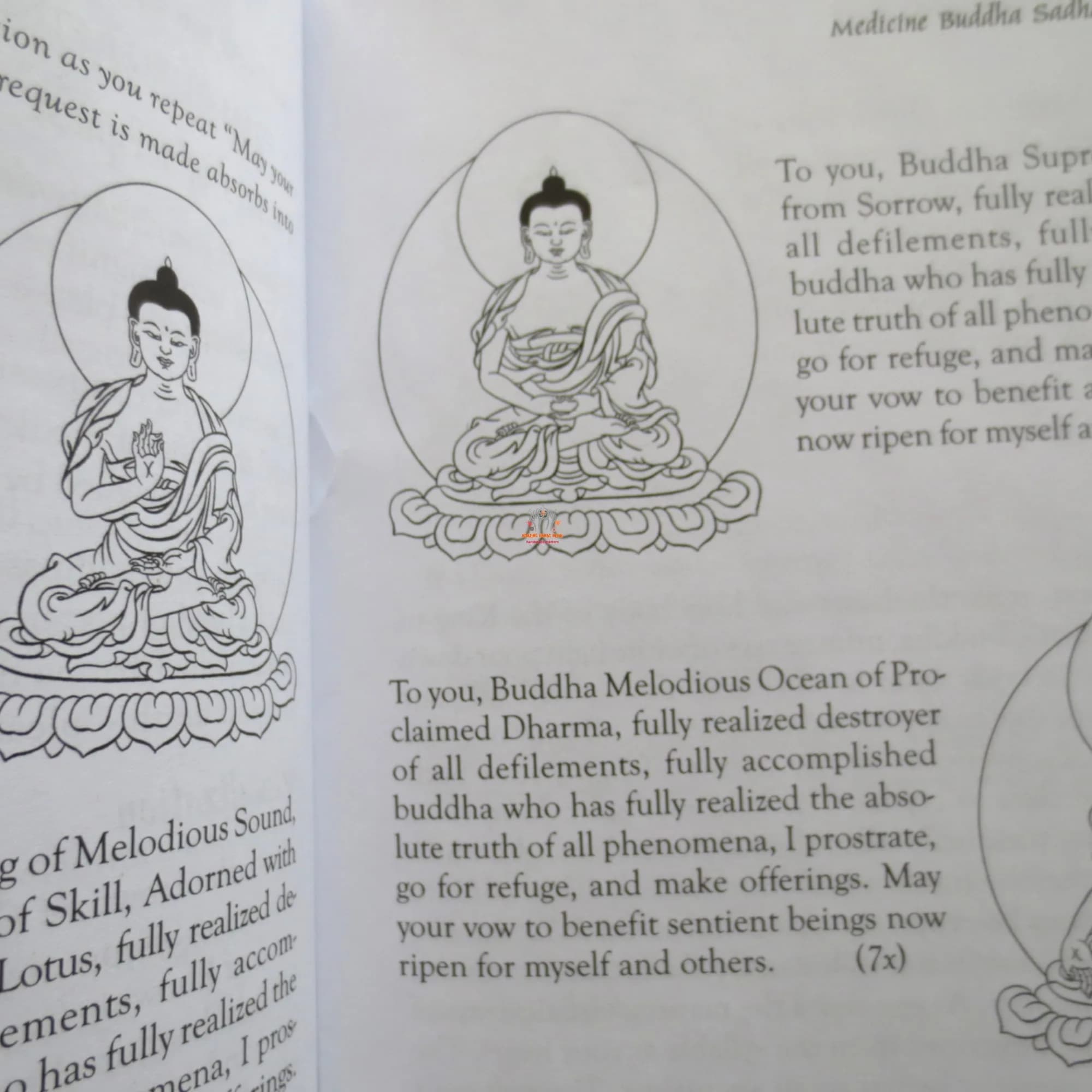 Medicine Buddha Sadhana